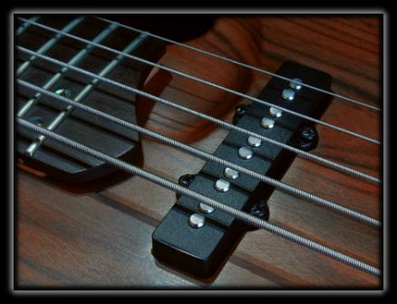 Luthier Bass