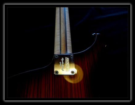 Maese Luthier